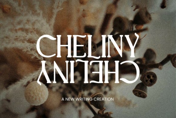 Cheliny Font: Elevate Your Digital Brand with a Bold Serif Typeface
